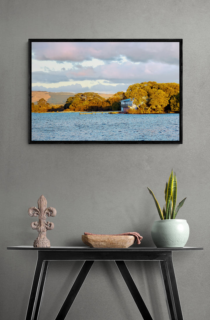 New Zealand Rotorua Framed Photo - Tazloma