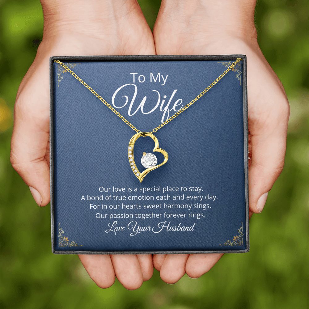 Eternal Soulmates Necklace - Tazloma
